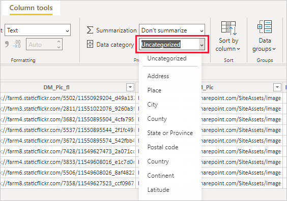 データ カテゴリ フィルターを示す Power BI Desktop のスクリーンショット。