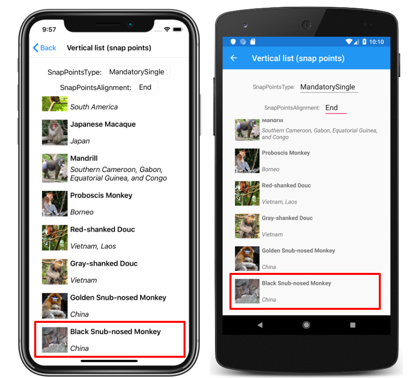 iOS および Android 上の、終了スナップポイントがある CollectionView の縦方向リストのスクリーンショット