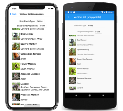 iOS および Android 上の、スナップ ポイントのない CollectionView の縦方向リストのスクリーンショット