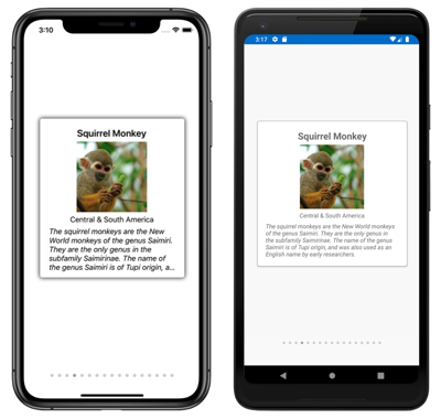 iOS と Android での CarouselView と IndicatorView のスクリーンショット