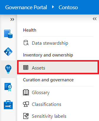 [資産] が強調表示されている Microsoft Purview ガバナンス ポータルの [分析情報] メニューのスクリーンショット。