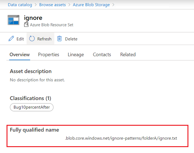 アセットの [概要] タブの完全修飾名を示すスクリーンショット。