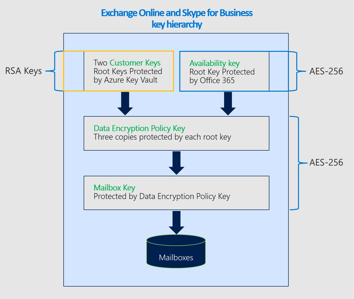 Exchange Onlineカスタマー キーの暗号化暗号。