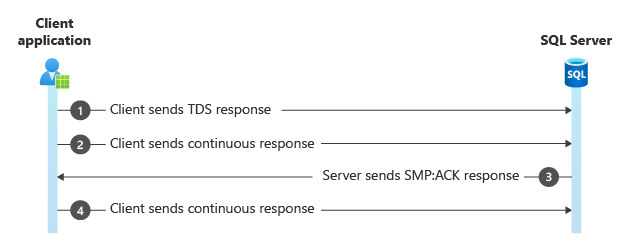 MARS SMP:ACK パケットの図。