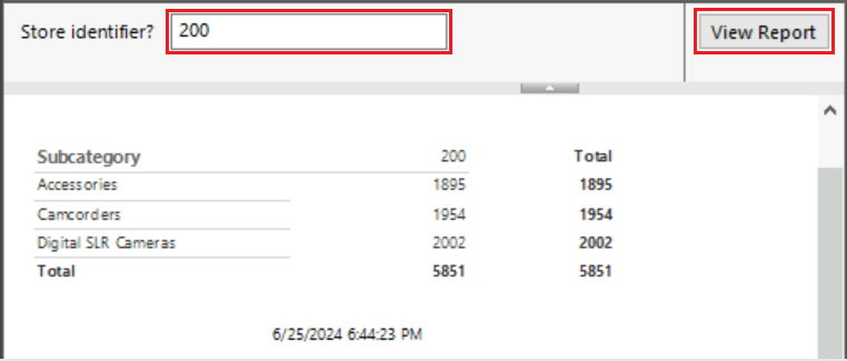 ストア識別子入力プロンプトに対して StoreID 値 200 を入力したときのレポート プレビューのスクリーンショット。