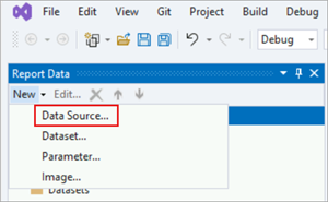 データ ソース オプションが強調表示されたレポート データ ウィンドウのスクリーンショット。