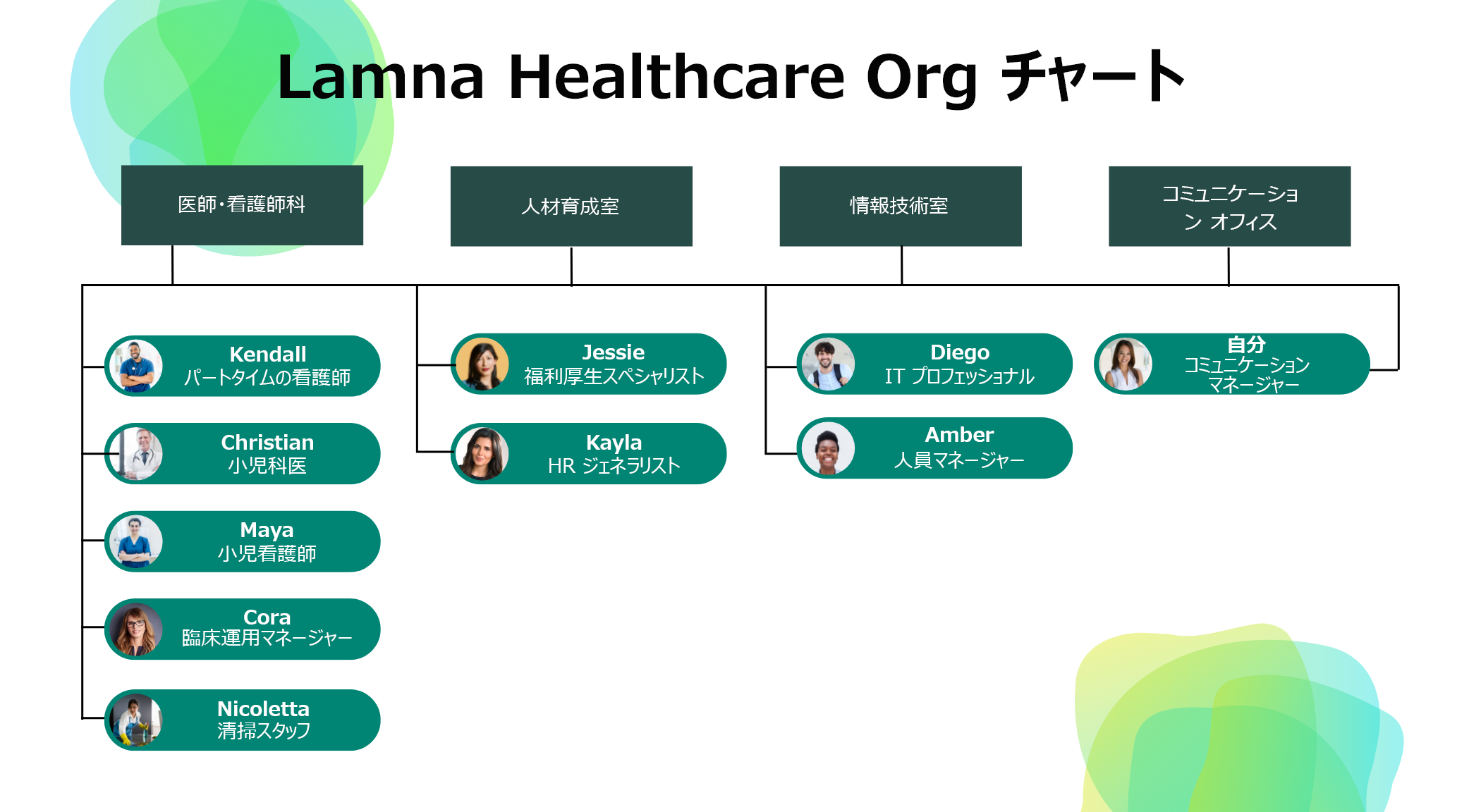 簡略化された Lamna Healthcare 組織構造を示す図。