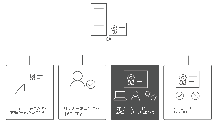 証明書の発行に焦点を当てた、CA のライフサイクルの複数の段階。