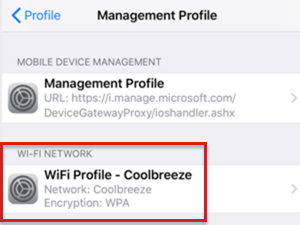 Intune の iOS/iPadOS デバイスで Wi-Fi ネットワークとして表示される Wi-Fi 接続のスクリーンショット。