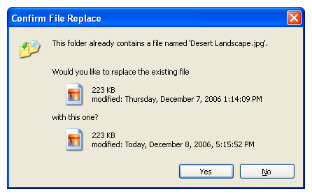 [ファイルの置換の確認] ダイアログ ボックスのスクリーン ショット 