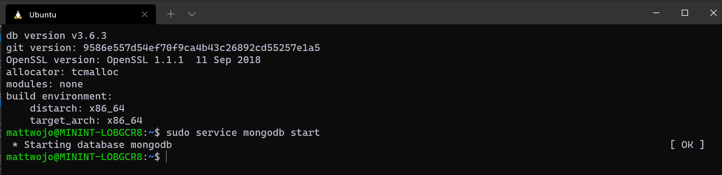 WSL を介して Ubuntu で MongoDB を実行する