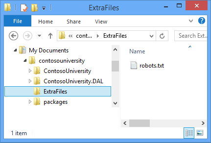 ExtraFiles 폴더