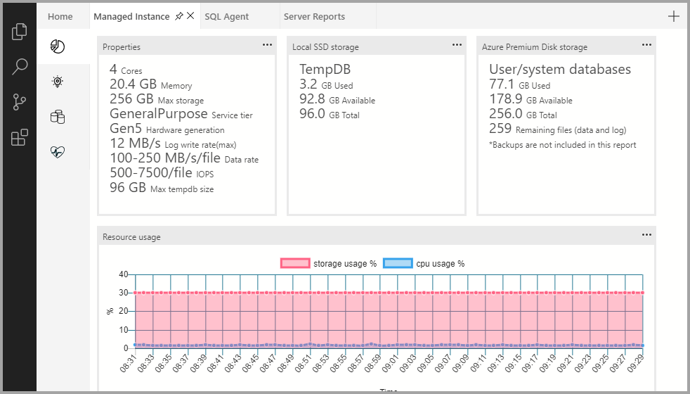 Managed Instance 속성