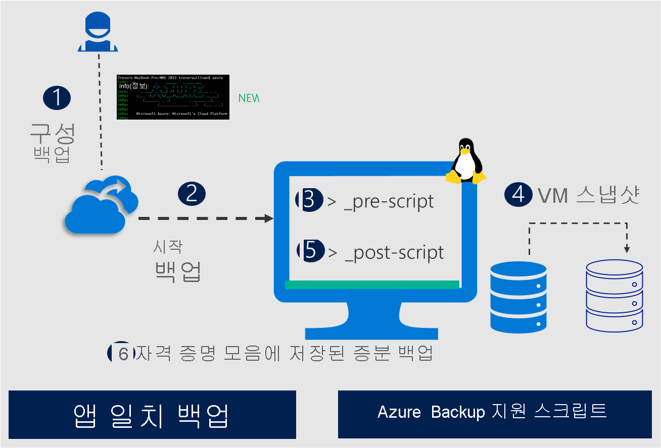 Azure Backup의 Linux 애플리케이션 일치 스냅샷을 보여 주는 다이어그램.