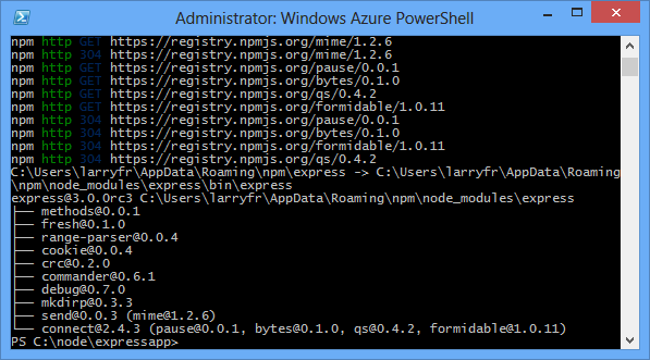 xpress 설치 npm 명령의 출력을 표시하는 Windows PowerShell