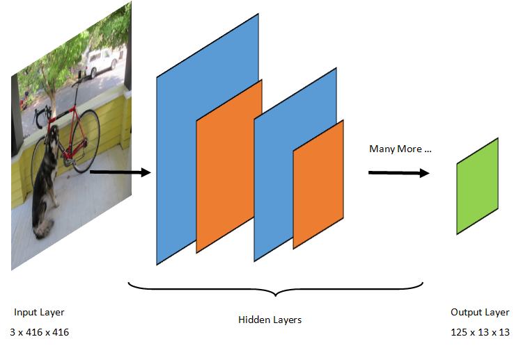 Input layer being split into hidden layers, then output layer