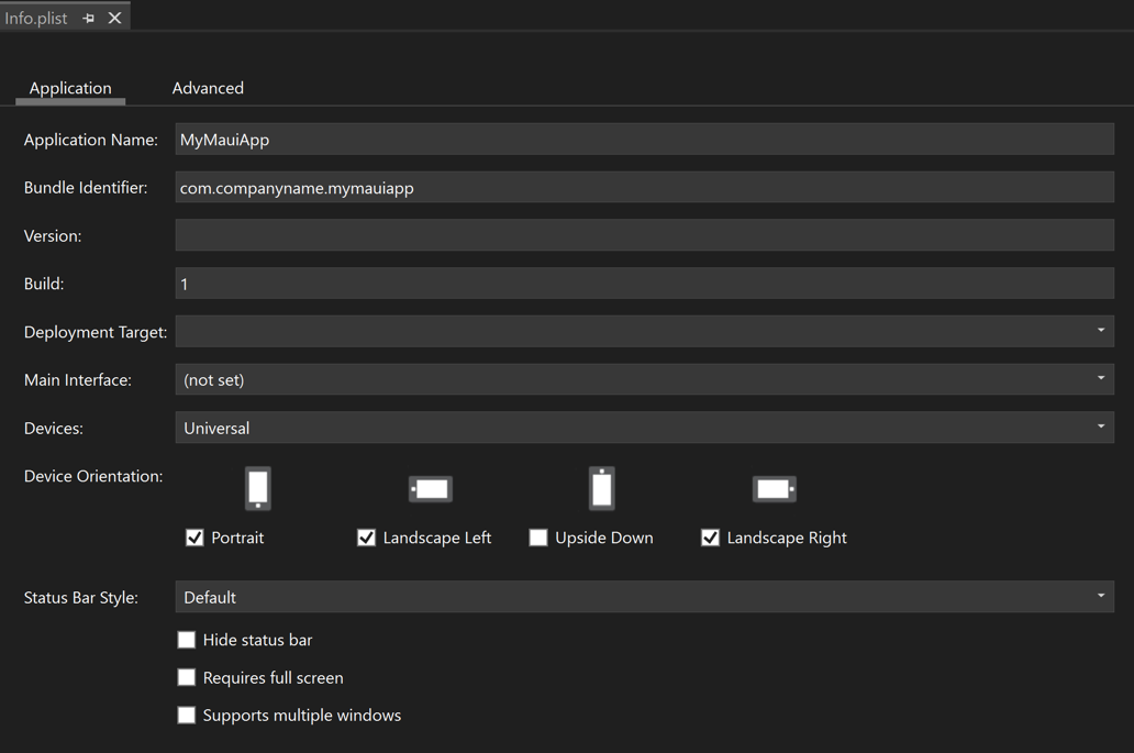 Visual Studio Info.plist 편집기의 애플리케이션 탭 스크린샷