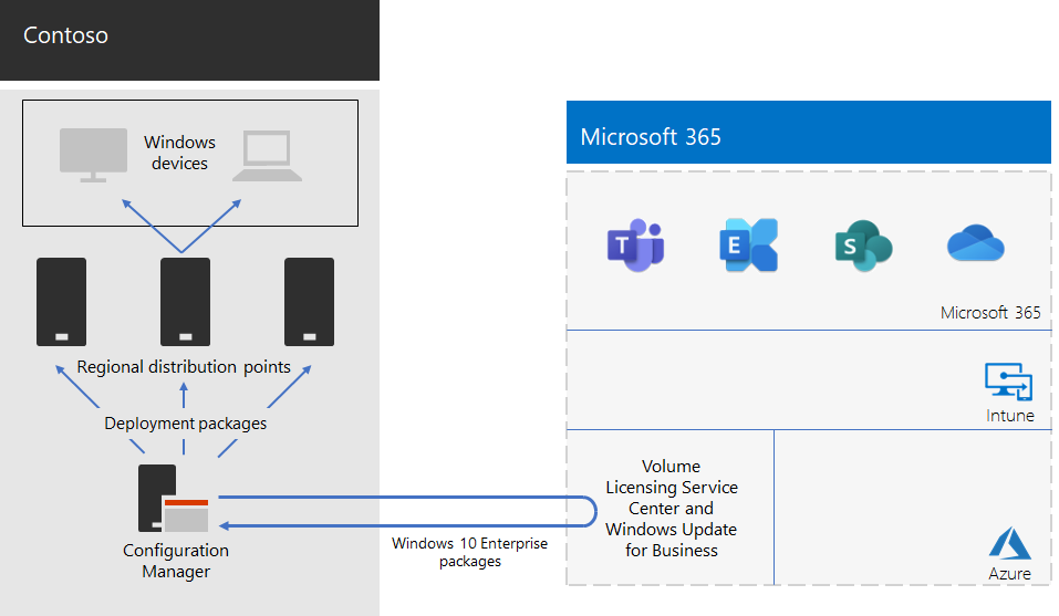 Contoso의 Windows 11 Enterprise 배포 인프라.