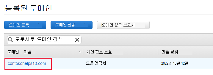 도메인 확인 TXT 레코드에 대한 도메인 이름을 선택하는 등록된 도메인의 스크린샷.