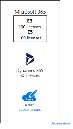 Microsoft의 SaaS 기반 클라우드 서비스용 구독에 포함된 여러 라이선스 예제입니다.