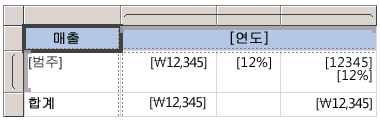 보고서 디자인 화면의 보기 값 형식 표시