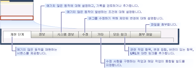 CMMI 버그 작업 항목 폼 - 탭