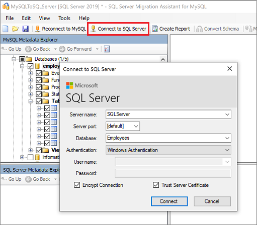 SQL Server에 연결을 보여주는 스크린샷