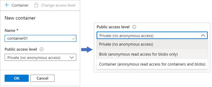 컨테이너 만들기 페이지와 Azure Portal에서 퍼블릭 액세스 수준 선택을 보여 주는 스크린샷.