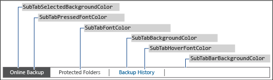 Windows SBS 대시보드 하위 탭 테두리