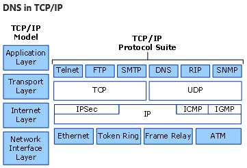 TCP/IP의 DNS