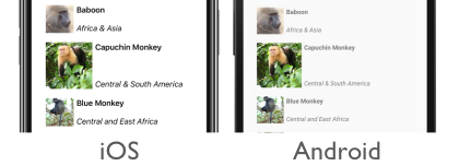 Screenshot of a CollectionView with dynamic item sizing, on iOS and Android