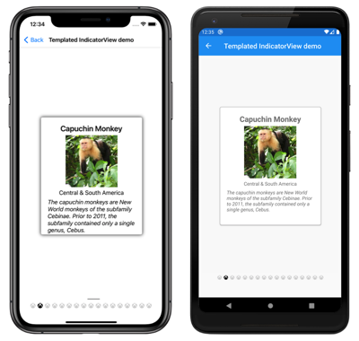 Zrzut ekranu przedstawiający szablon indicatorView w systemach iOS i Android