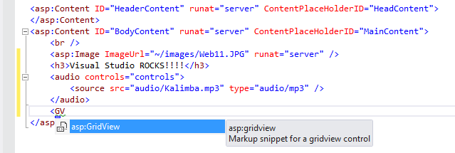 Inserindo um GridView com listas do IntelliSense