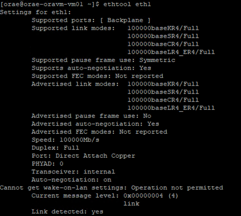 Captura de tela da saída das configurações para eth1.