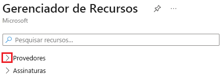 Captura de tela da expansão da seção Provedores no Azure Resource Explorer.