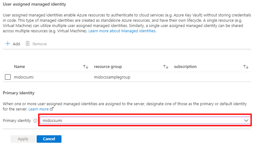 Captura de tela do portal do Azure mostrando a seleção da identidade primária para o servidor