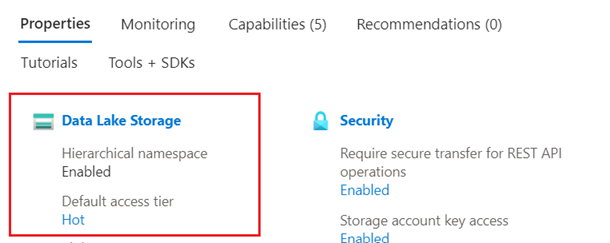 Captura de tela da página de propriedades da conta de armazenamento mostrando o Data Lake Storage.