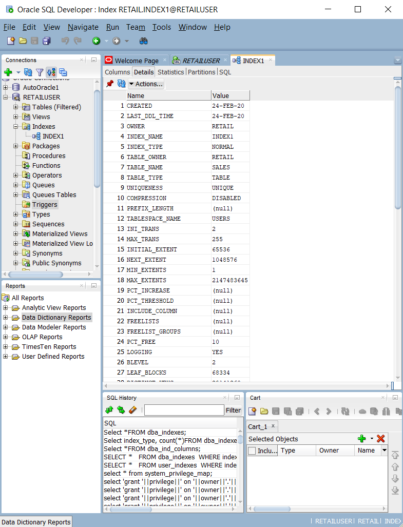 Captura de tela mostrando como consultar tabelas e exibições do sistema no Oracle SQL Developer.