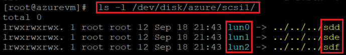 Captura de tela mostrando o código que verifica a lista de discos atual com o comando e os resultados destacados.