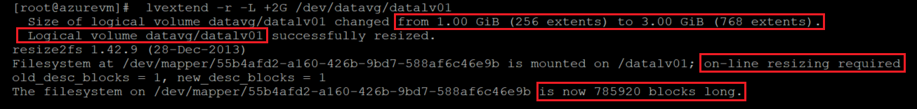 Captura de tela mostrando o código que aumenta o tamanho do sistema de arquivos online com os resultados destacados.