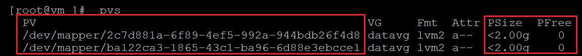 Captura de tela mostrando o código que verifica informações para volumes físicos com os resultados destacados.