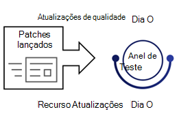 Toque 0, Dispositivos de Teste.