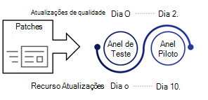 Toque 1, Dispositivos Piloto.