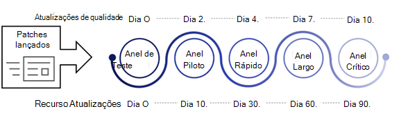 Anel 4, Anel Crítico.