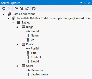 Schema With Display Name Renamed