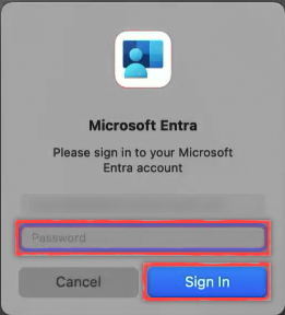 Captura de tela de uma janela de entrada do Microsoft Entra.