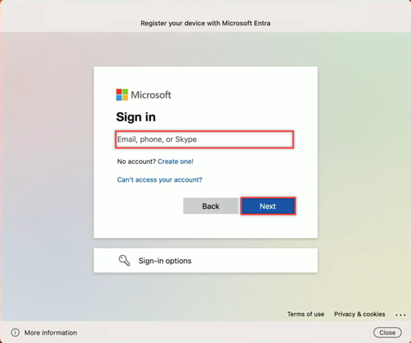 Captura de tela da janela de registro solicitando a entrada com a Microsoft.