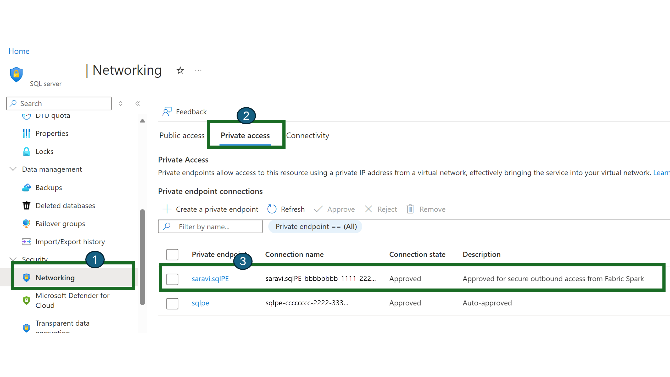 Captura de tela que mostra a guia Acesso privado na página Rede de um recurso no portal do Azure.