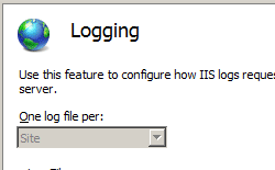 Screenshot of the Logging pane. The text Use this feature to configure how I I S logs request server is shown.