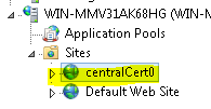 Captura de tela da árvore de navegação do I I S Manager. Em Sites, o zero do certificado central é realçado.